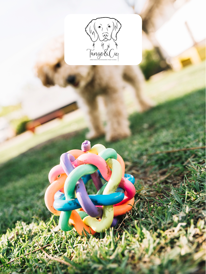Un jouet coloré en forme de nœud est posé sur l'herbe, avec un chien flou en arrière-plan et le logo 'Tango & Cie'